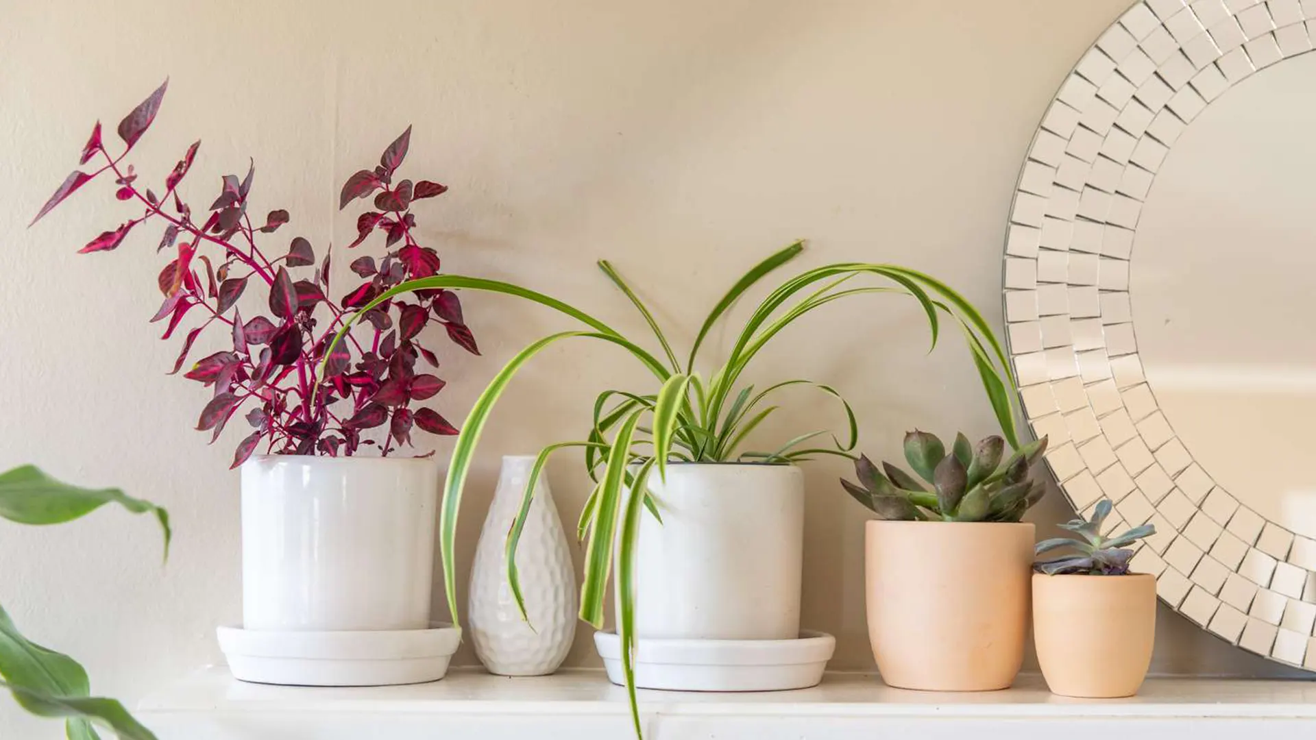 Consejos de decoración